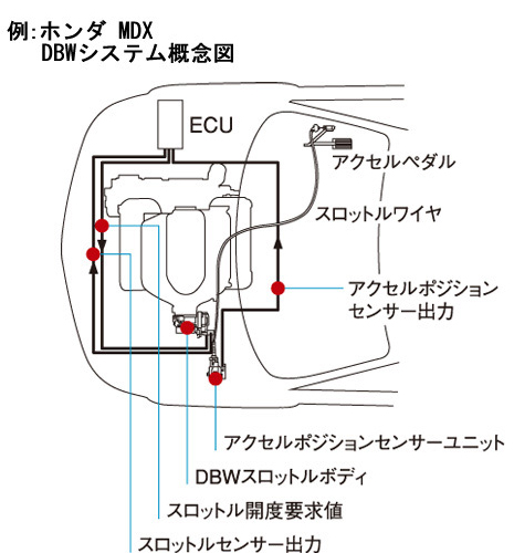 DBW